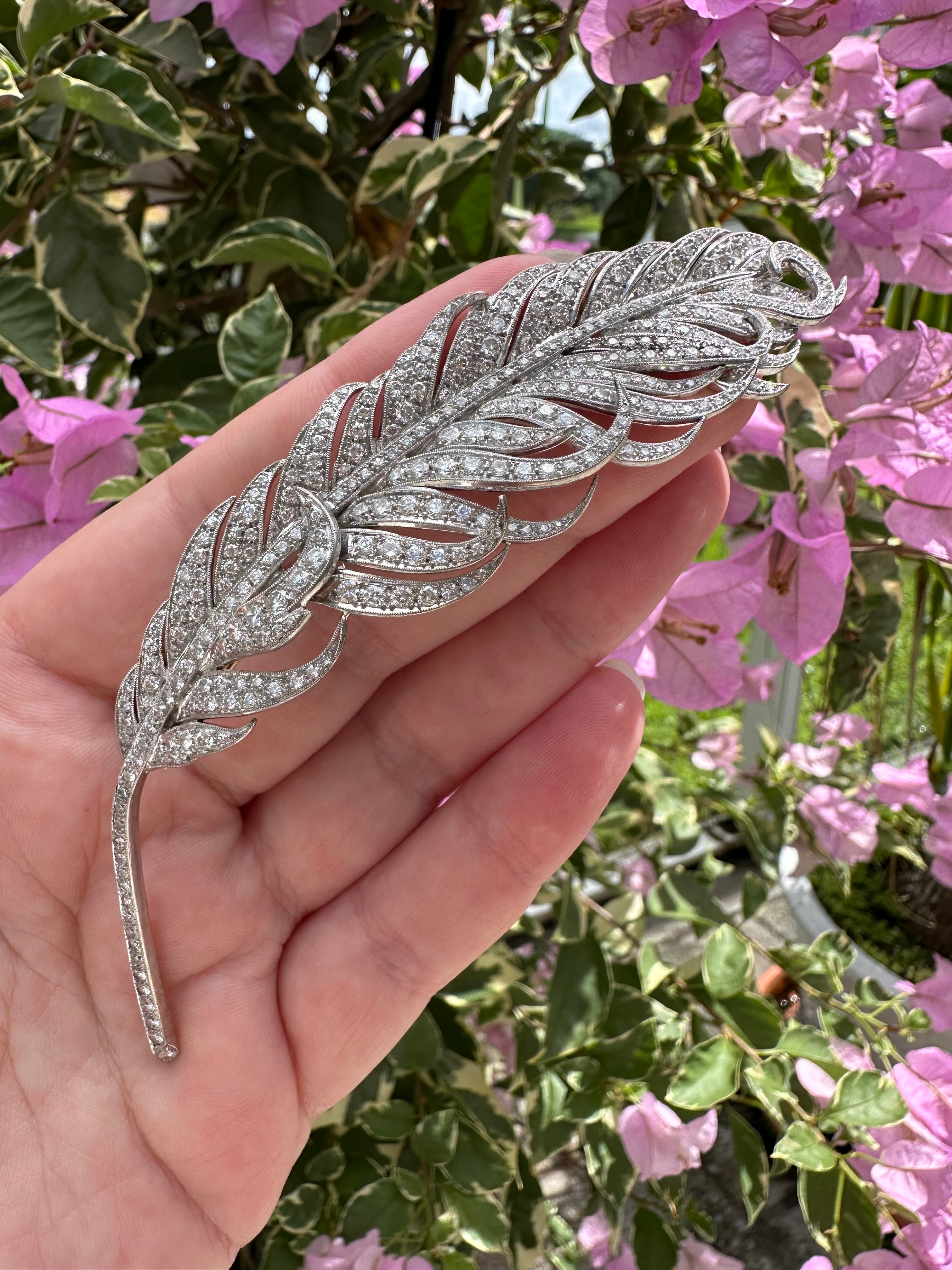 Platinum/ 18k Diamond Feather Brooch