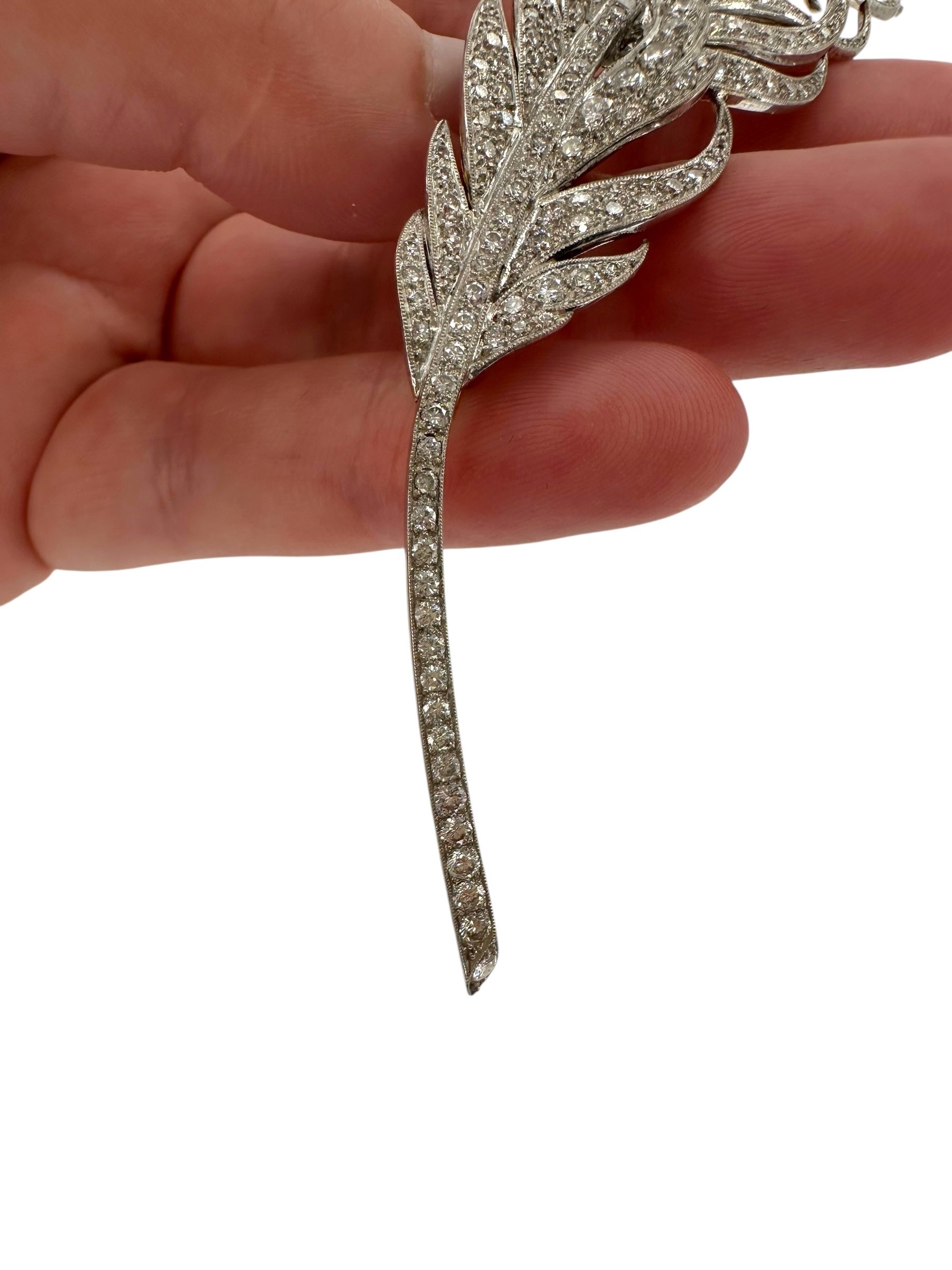 Platinum/ 18k Diamond Feather Brooch