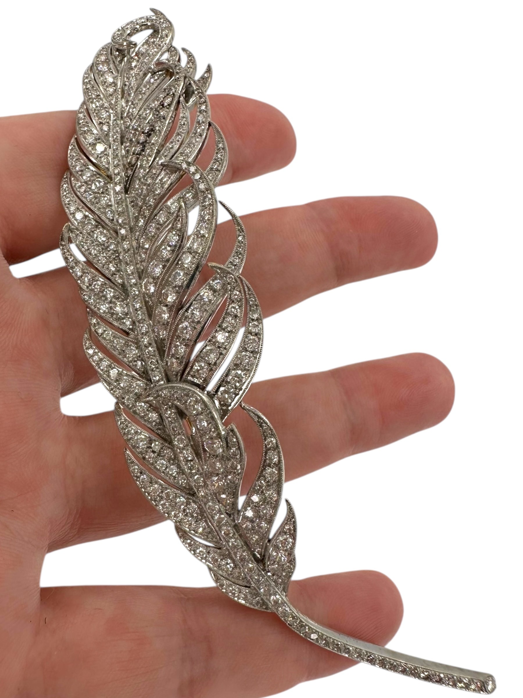 Platinum/ 18k Diamond Feather Brooch