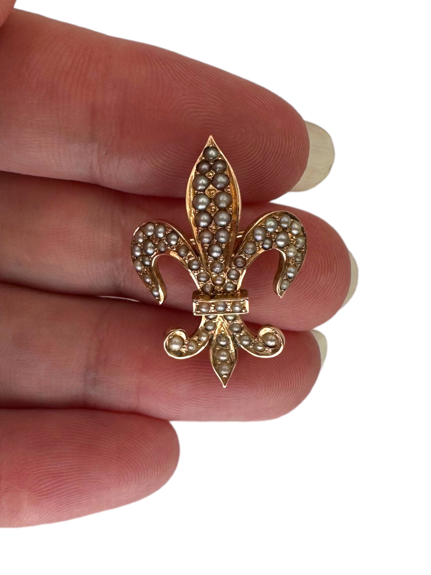 14k Victorian Pearl Fleur de Lis Pin/ Pendant