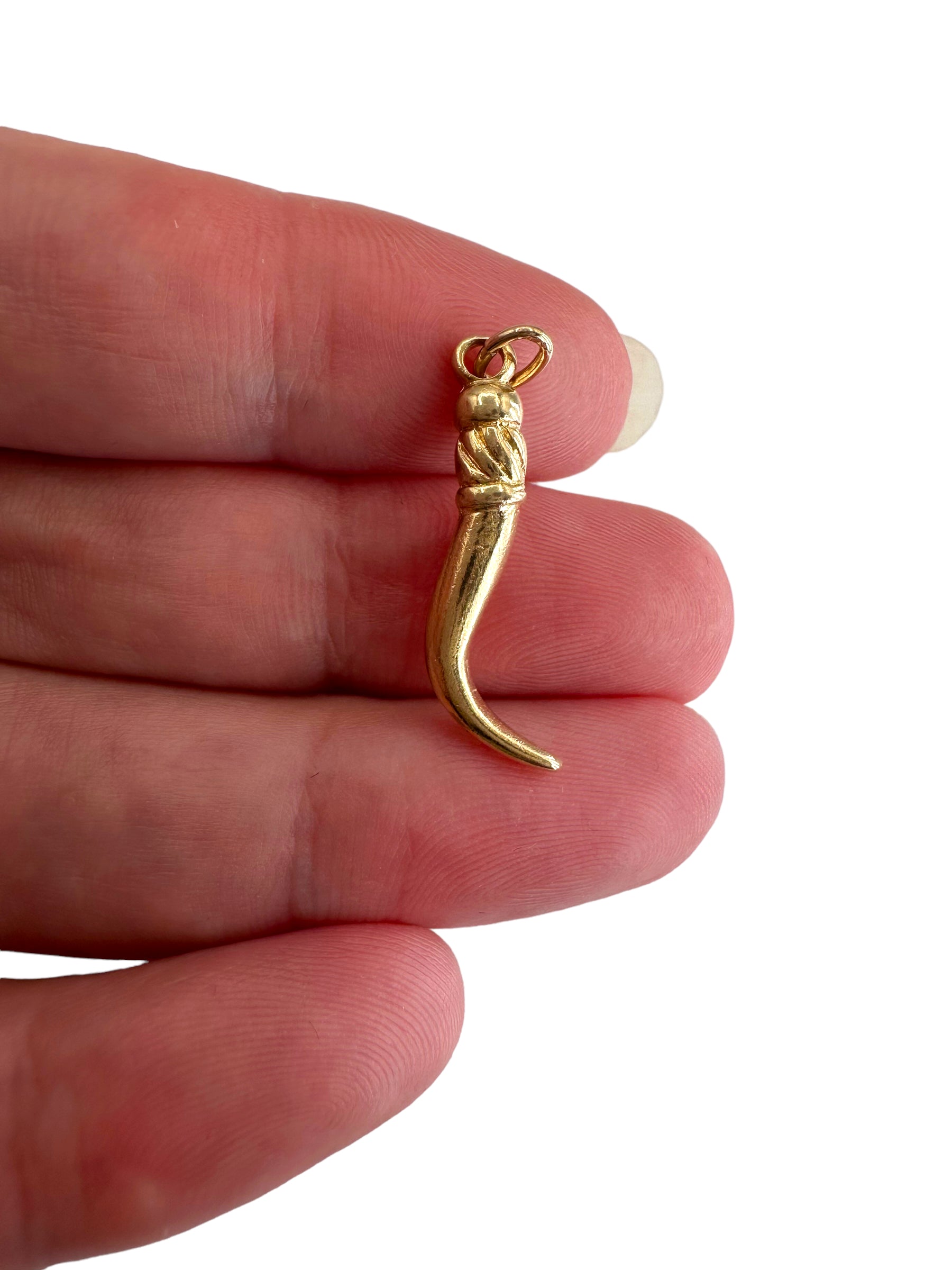 14k Cornicello Charm