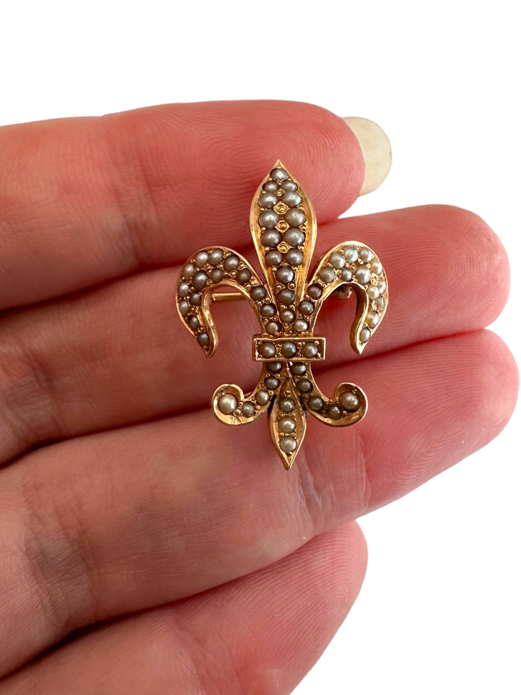 14k Victorian Pearl Fleur de Lis Pin/ Pendant